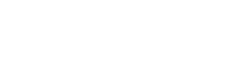 Cyber Pouch Instantly Block